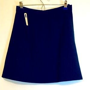 Anthropologie Deep Blue A-Line Skirt